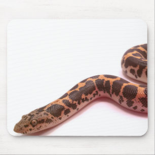 För sandboa för det normala kenyansk mousepad musmatta