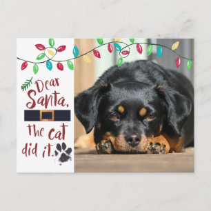 För Santa för stygg hund roligt kärt foto brev Helg Vykort