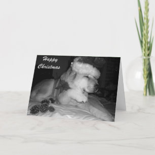 För santa för tass för gullig akita hund ge jul helgkort