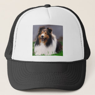 För Sheltie för Shetland Sheepdog gåvor konst Truckerkeps