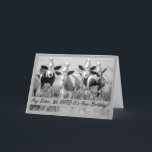 För sister Funny Birthday Cows in Hats Kort<br><div class="desc">Svart och vit foto av nötkreatur med avlång öron och pappra,  spetsiga hattar från party visas på detta födelsedagskort för någons syster. Art,  bild och versell copyright © Shoaff Ballanger Studios,  2023.</div>