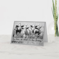 För sister Funny Birthday Cows in Hats