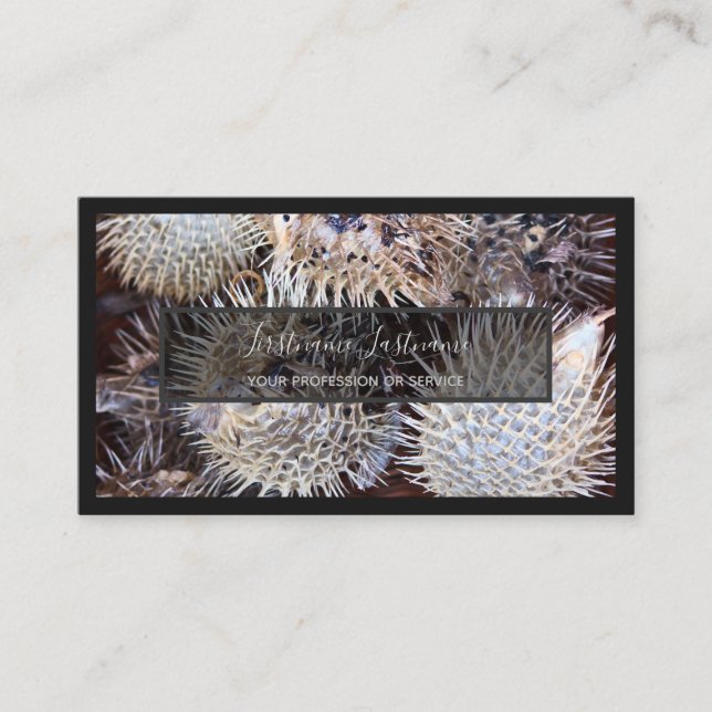 För sjöexperter och havsfisk, havsbusi älskare bus visitkort (Framsida)