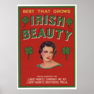 För skönhetfrukt för vintage gammala irländska poster