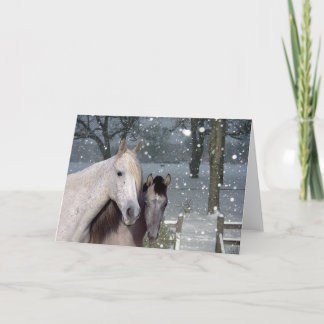 För snöhälsning för hästar fallande kort