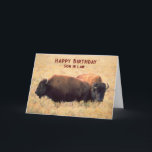 För Son i Lag Birthday med en Bison Pair Kort<br><div class="desc">På födelsedagen hälsas en son i juridik,  svärson med ett par bison på prärien omgiven av höga gräs. Art,  bild och versell copyright © Shoaff Ballanger Studios,  2023.</div>