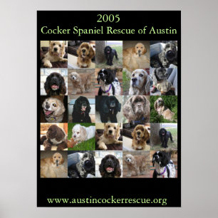 För Spanielrädding för 2005 cockerspaniel affis Poster