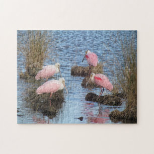 För Spoonbillsrosor för Roseate Spoonbill fågel Pussel