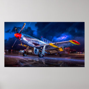 För stormigt att flyga poster