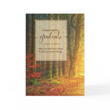 för Student Woodland Väg Sunlit Forest