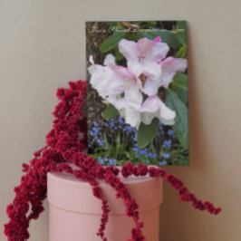 För svärdotter Blommigt Mors dag Kort