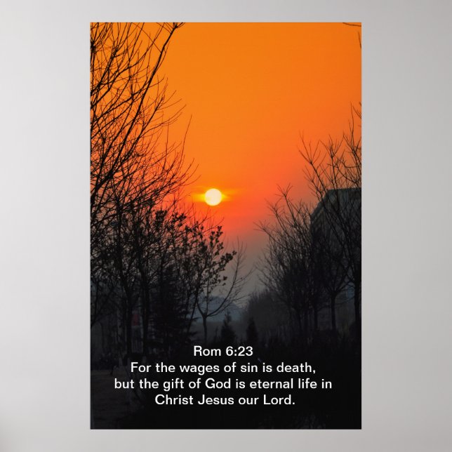 För syndens löner poster (Framsidan)