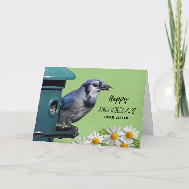 För syster Birthday med Blue Jay vid Feeder Kort (Framsida)
