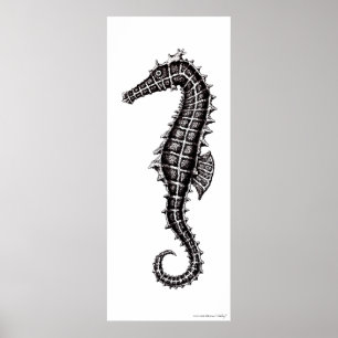 För teckningkonst för Seahorse svartvit affisch