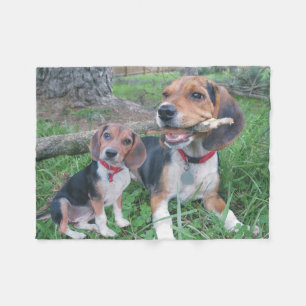 För Time för Beaglemamma- & valptuggning filt ul