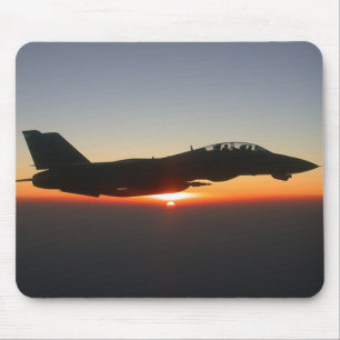 För Tomcatkämpe för F 14 jet Musmatta