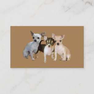 För Trioavelsdjur för Chihuahua lycklig visitkor Visitkort