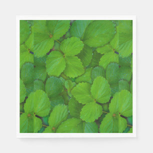 För Tulsi för helig basilika löv gröna Mint Pappersservett