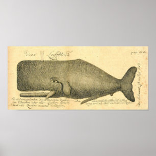 För valillustration för vintage underbar affisch