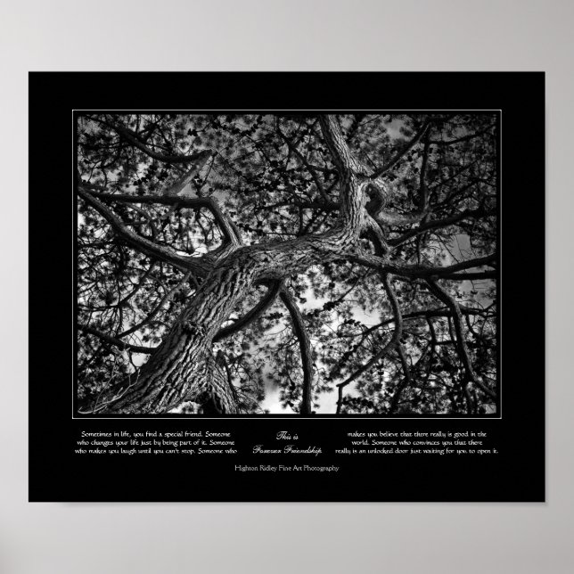 För Vänskap, kanadensiska Gräs, konst Poster (Framsidan)