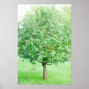 För vattenfärgImpressionist för träd abstrakt Poster