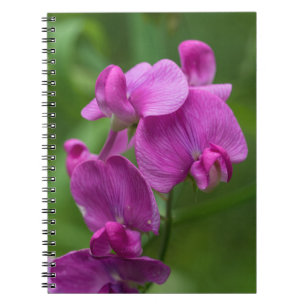 För vildblommablommigt för söt ärta nätt rosa anteckningsbok