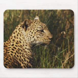 För vilddjur för Leopard (larma & sitta upp), Musmatta
