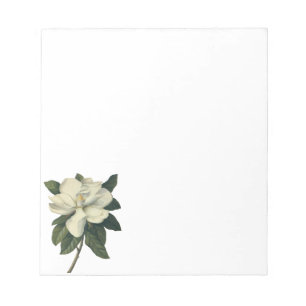 För vitMagnolia för vintage blommas blommor för Anteckningsblock