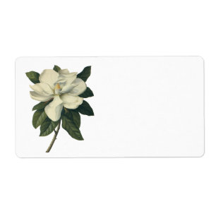 För vitMagnolia för vintage blommas blommor för Fraktsedel