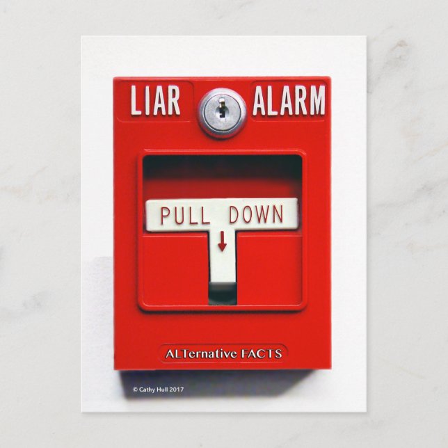 Föradresserat Donald J.Trump Fire Trump-vykort Vykort (Framsida)