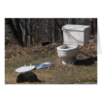 Foraging Groundhog Hälsningskort