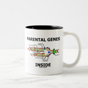 Föräldra- geninsida (DNA-replicationen) Två-Tonad Mugg