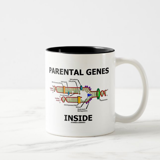 Föräldra- geninsida (DNA-replicationen) Två-Tonad Mugg (Höger)