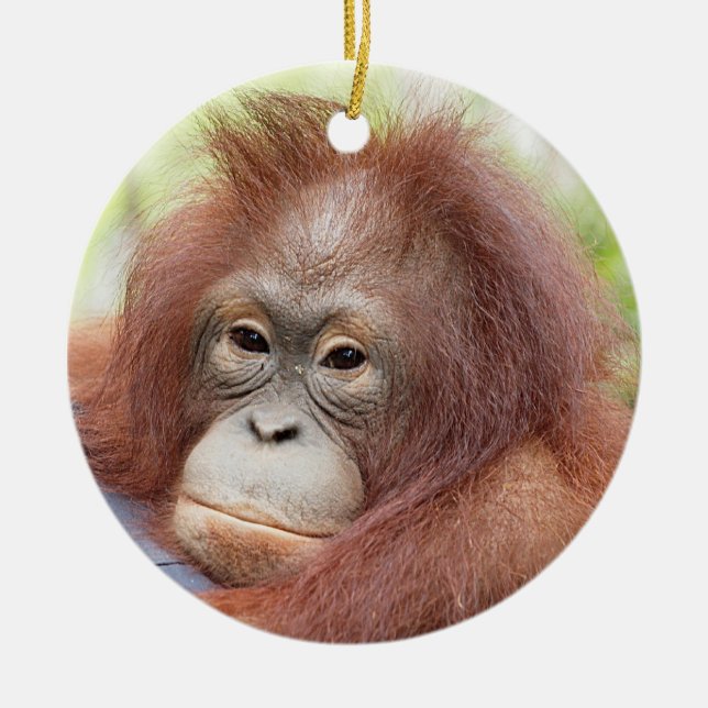 Föräldralös Dr. Ann för Orangutan Julgransprydnad Keramik (Framsidan)