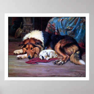 Föräldralös valp och en Collie - vid den Wright Poster