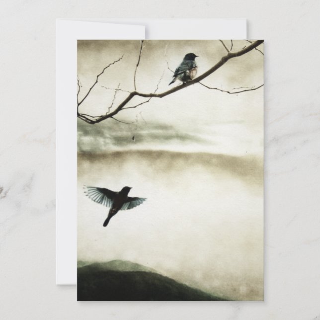 Förälskad inbjudan för bluebirds (Framsida)