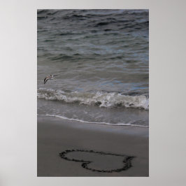 Förälskad Sandpiper Poster
