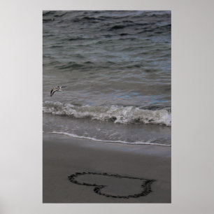 Förälskad Sandpiper Poster