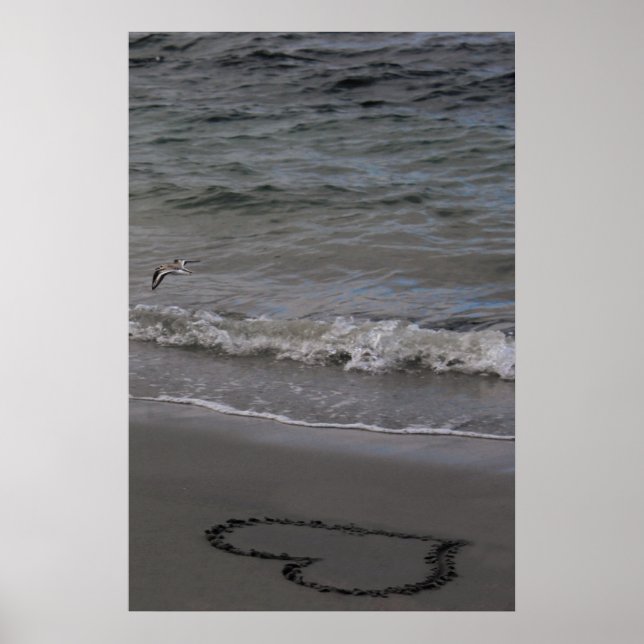 Förälskad Sandpiper Poster (Framsidan)