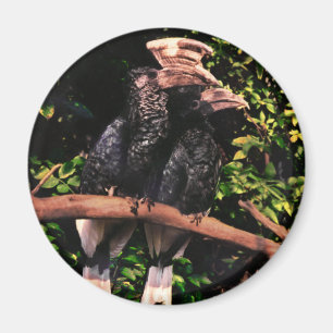 Förälskade Hornbills Magnet