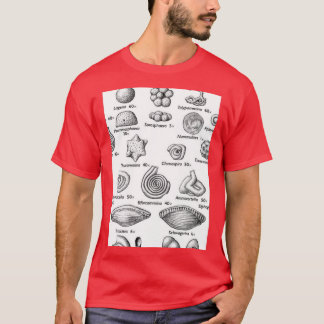 Foraminifera I kärlek fossils T Shirt