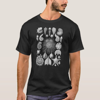Foraminifera Tee