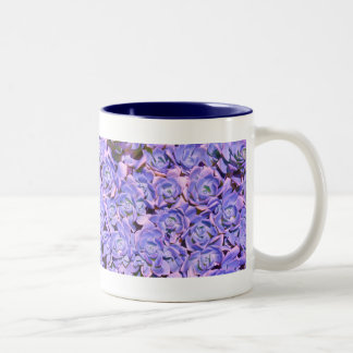 Förändrad Blå Blommig Sukkulent Kaffe Kopp