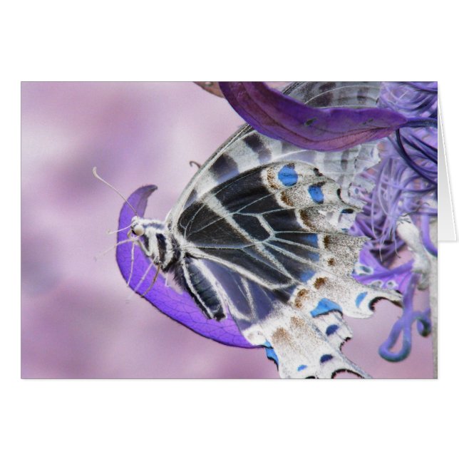 Förändrad fjäril hälsningskort (Framsidan Horizontal)