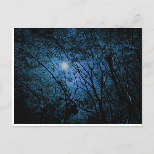 förändrad mörk skog vykort (Framsida)