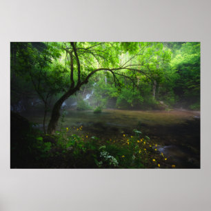 Förändrad skog och vattenfall poster