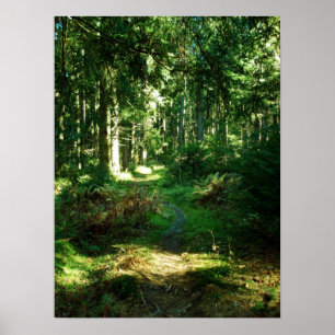 förändrad skog poster