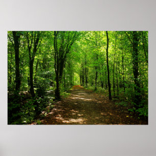 Förändrad skogsväg 5 poster
