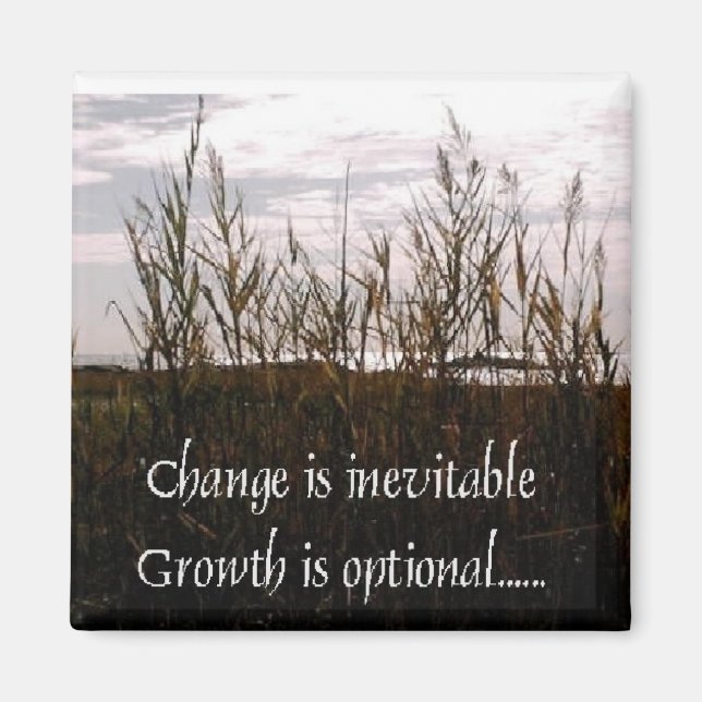 Förändring är oundviklig magnet (Framsidan)