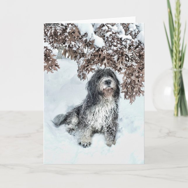 Förändring av sjöar kort (Framsida)